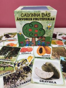 ARQUIVO – CAIXA DAS ÁRVORES FRUTÍFERAS