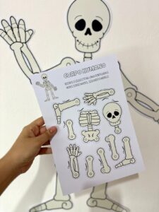 Atividades – Corpo Humano
