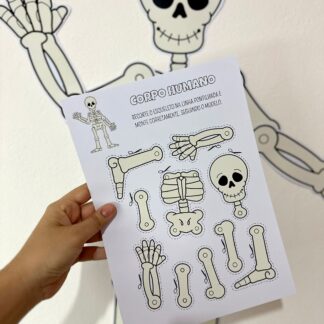 Atividades - Corpo Humano