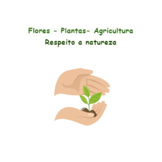 Plantas - Flores - Agricultura - 2º a 3º ano