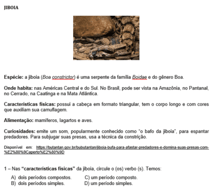 Kit de Recuperação de Português - 9º ano - Image 3