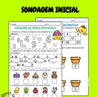 SONDAGEM