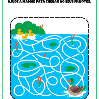 Ajude a Chegar ao Destino (labirinto)