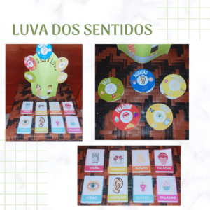 Luva Pedagógica os 5 sentidos