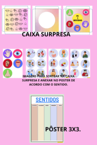 Os 5 sentidos