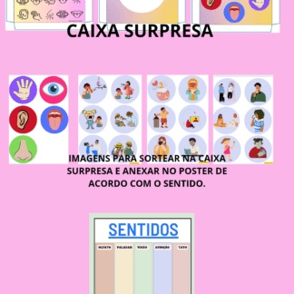 Os 5 sentidos