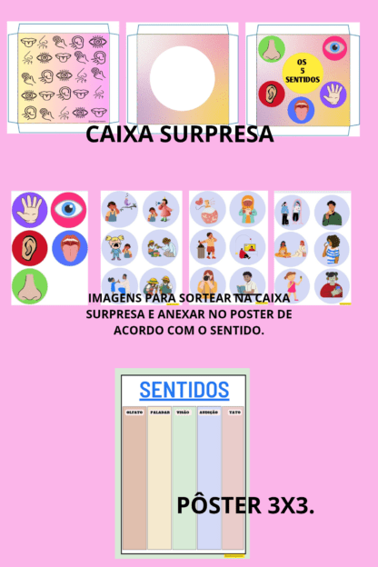 Os 5 sentidos