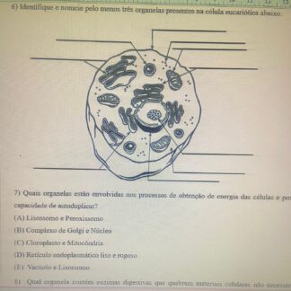 Atividade citologia: Organelas