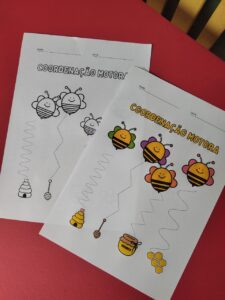 Traçado Abelhinhas