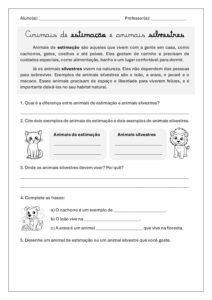 Animais de estimação x silvestres