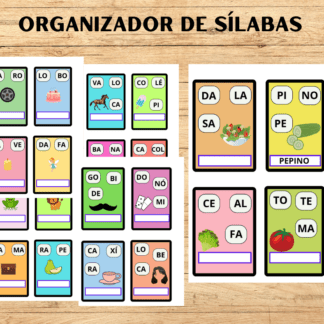 ORGANIZADOR DE SÍLABAS