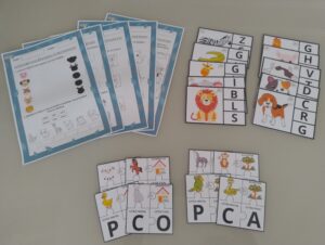 Kit animais domésticos e silvestres
