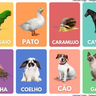 Fichas dos Animais