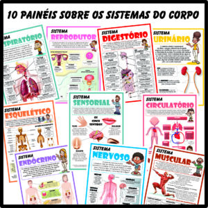 10 Painéis sobre os sistemas do corpo humano