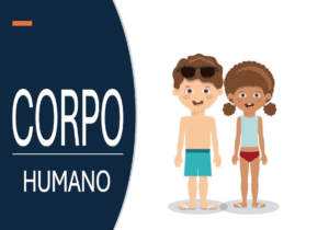 Flashcards Corpo Humano