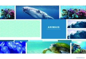 Flashcards Animais