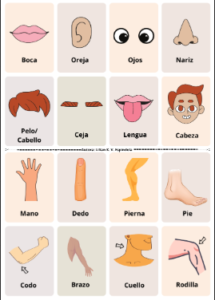 Bingo partes do corpo em ESPANHOL