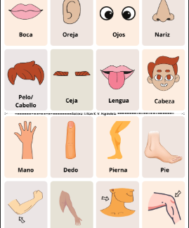 Bingo partes do corpo em ESPANHOL