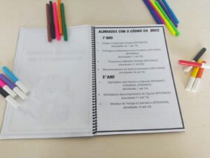 PROBLEMAS MATEMÁTICOS 1º ANO E 2º ANO