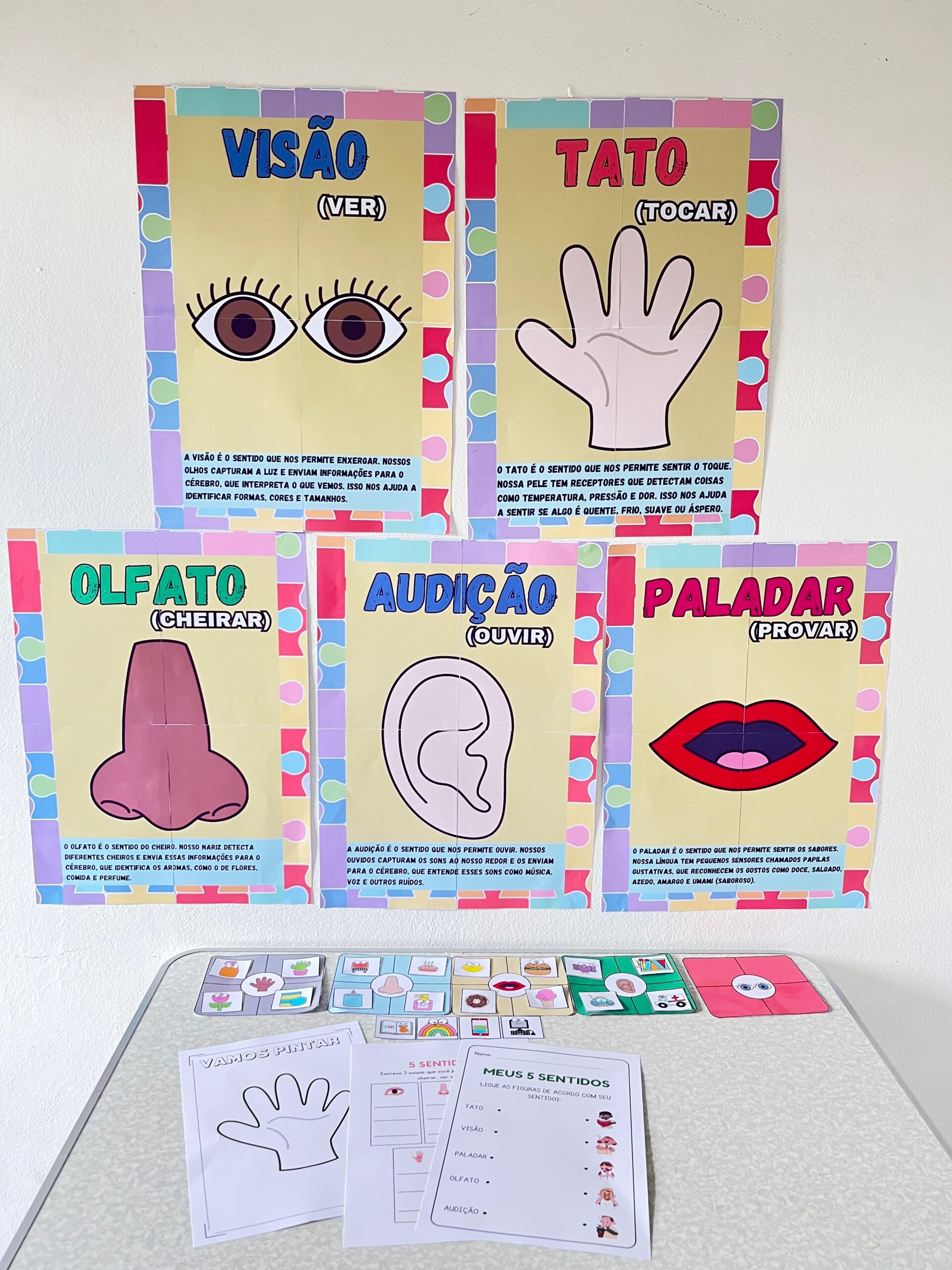 OS 5 SENTIDOS