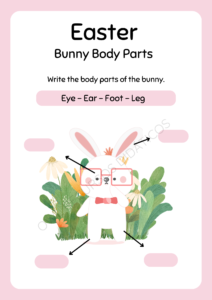 Bunny Body Parts