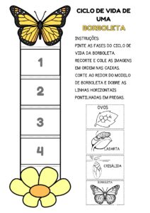 Ciclo de Vida da Borboleta
