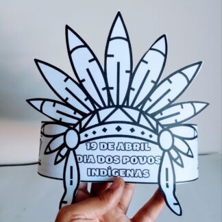 Cocar indigena