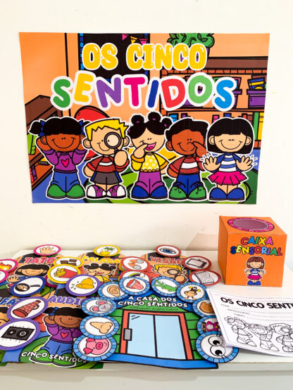 Os 5 Sentidos