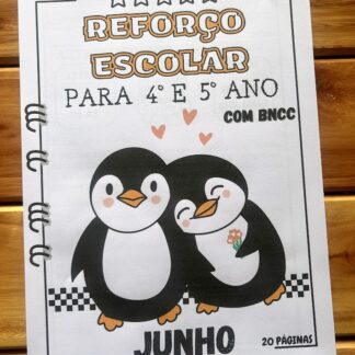 APOSTILA REFORÇO ESCOLAR 4º E 5º ANO (JUNHO)