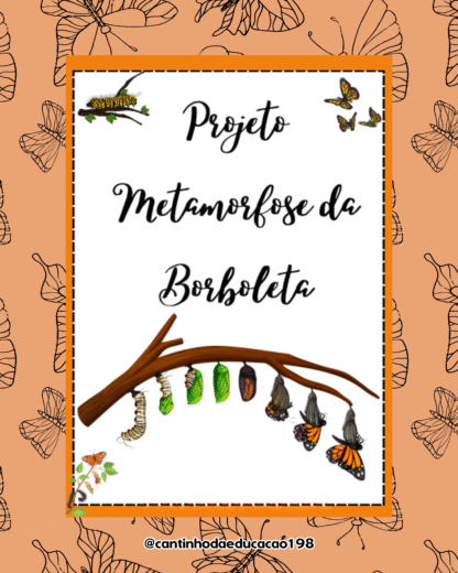 PROJETO METAMORFOSE DA BORBOLETA