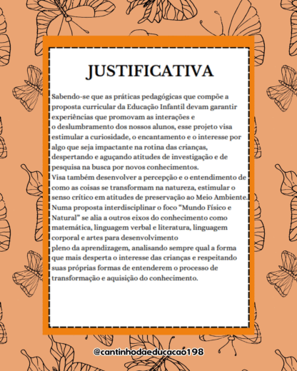 PROJETO METAMORFOSE DA BORBOLETA - Imagem 2