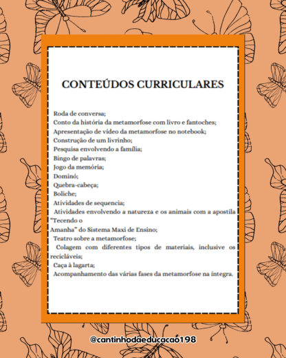 PROJETO METAMORFOSE DA BORBOLETA - Imagem 3