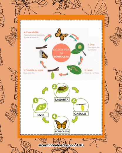 PROJETO METAMORFOSE DA BORBOLETA - Imagem 5