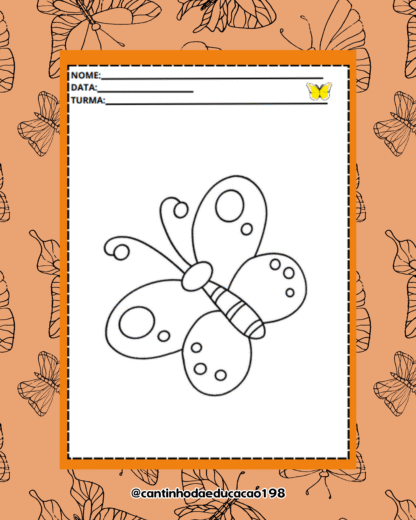 PROJETO METAMORFOSE DA BORBOLETA - Imagem 8
