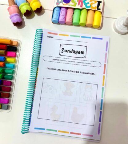 APOSTILA SONDAGEM PRÉ-ESCOLA - Imagem 2