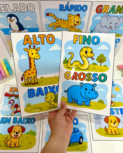 Fichas de conceitos- Educação Infantil - Imagem 6