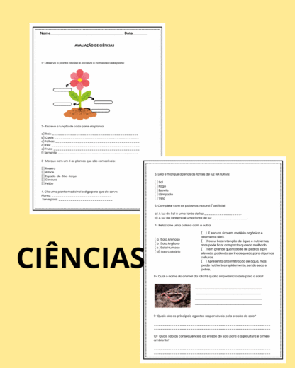 avaliação ciencias, história e geografia 3º ano - Imagem 4