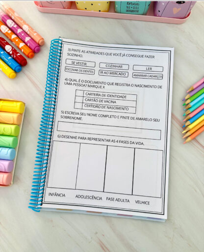 Sondagem diagnóstica Primeiro Ano - Image 9
