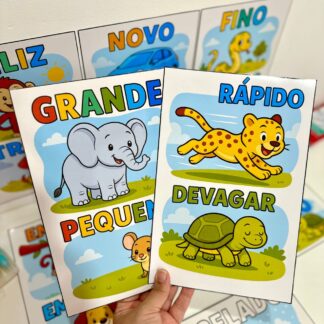 Fichas de conceito