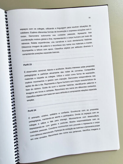 Relatórios Educação Infantil - Imagem 2