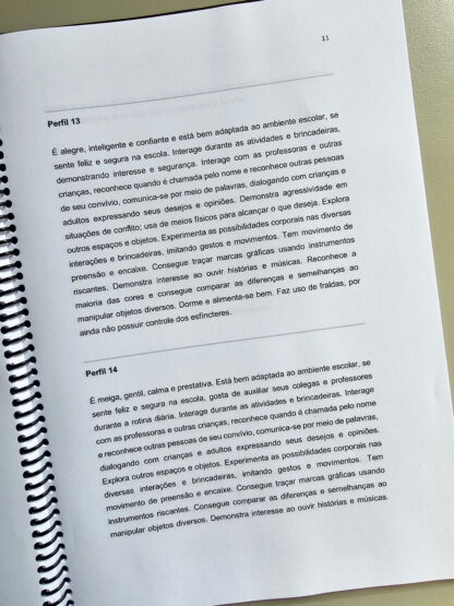 Relatórios Educação Infantil - Imagem 3