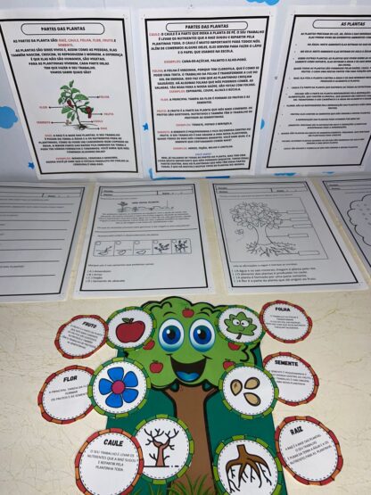 Partes de uma planta - Imagem 2