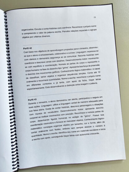 E-book Relatórios Individuais Educação Infantil - Imagem 3