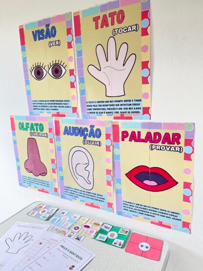 Kit Educacional Os 5 Sentidos – Cartazes, Atividades e Jogo de Classificação - Imagem 7