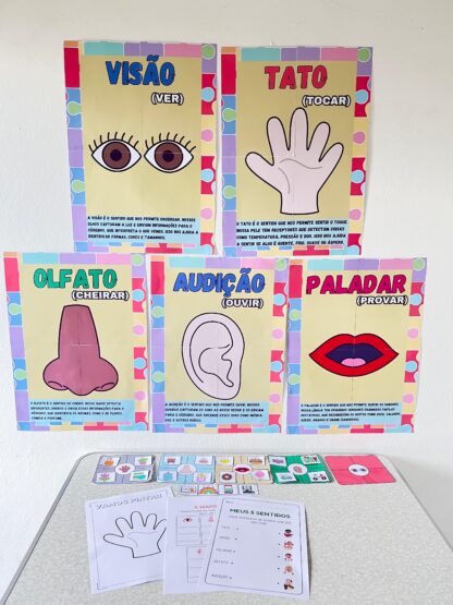 Kit Educacional Os 5 Sentidos – Cartazes, Atividades e Jogo de Classificação - Imagem 6