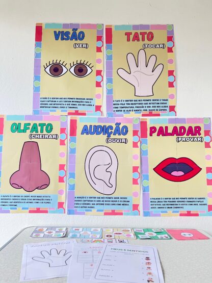 Kit Educacional Os 5 Sentidos – Cartazes, Atividades e Jogo de Classificação - Imagem 2
