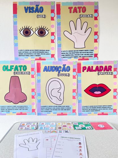 Kit Educacional Os 5 Sentidos – Cartazes, Atividades e Jogo de Classificação