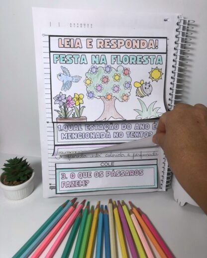 FESTA NA FLORESTA - Imagem 3