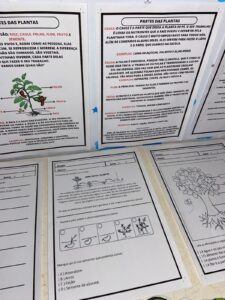Partes da Planta – Kit Educativo Interativo para Ciências