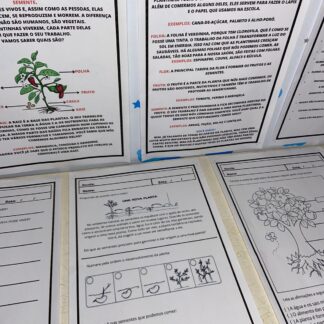 Partes da Planta – Kit Educativo Interativo para Ciências